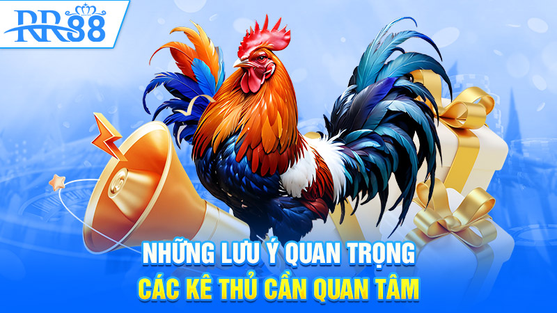 Những lưu ý quan trọng các kê thủ cần quan tâm