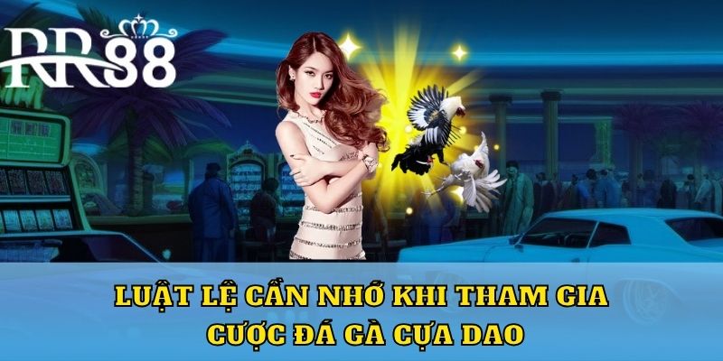 Luật lệ cần nhớ khi tham gia cược đá gà cựa dao