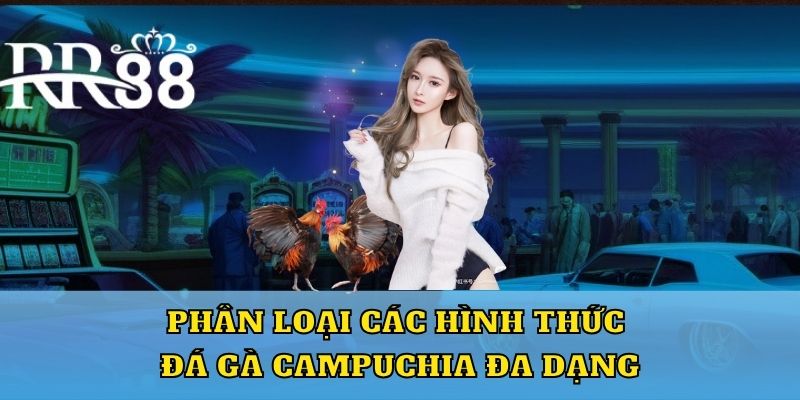 Phân loại các hình thức đá gà Campuchia đa dạng