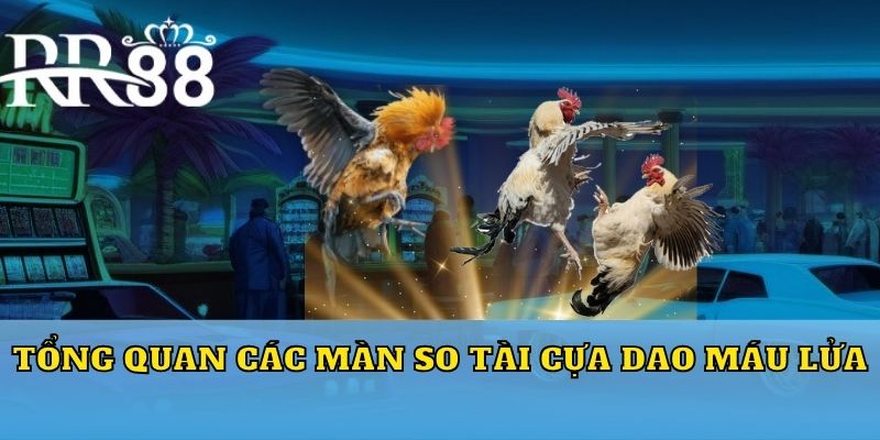 Tổng quan các màn so tài cựa dao máu lửa